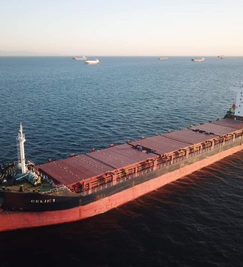 mv-celik-1--7936-dwt-8731